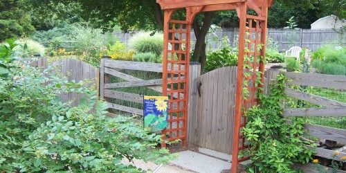 nature education programs for kids wildlife education, nature education programs