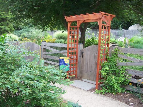 wildlife education, nature education programs