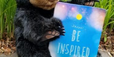 kids nature shows, nature programs kids nature shows, nature programs