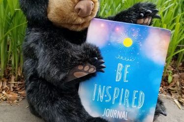 kids nature shows, nature programs