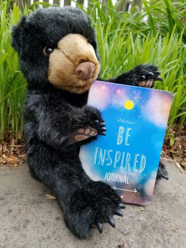 kids nature shows, nature programs kids nature shows, nature programs