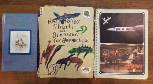 kids activities, nature programs