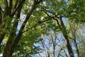 wildlife education, nature education programs