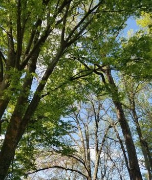 wildlife education, nature education programs