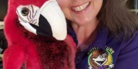 virtual learning, online nature programs virtual learning, online nature programs