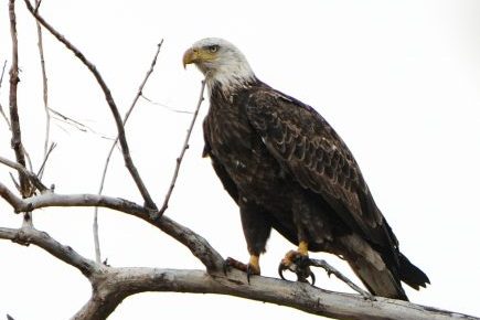 kids entertainment, nature programs