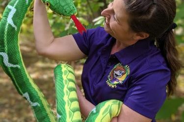 kids entertainment, kids entertainers