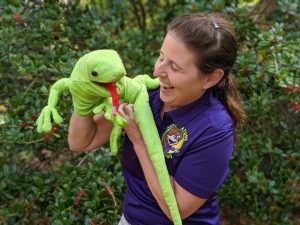 wildlife shows, nature shows, animal shows
