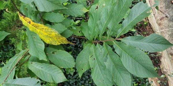 nature programs for kids nature programs for kids