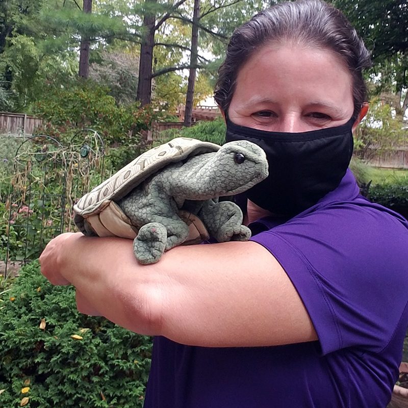 kids nature shows - virtual kids nature shows - virtual childrens wildlife shows