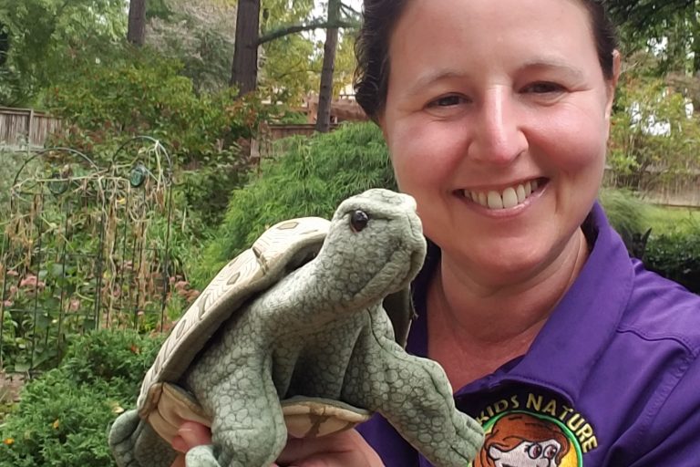 kids activities, kids entertainers