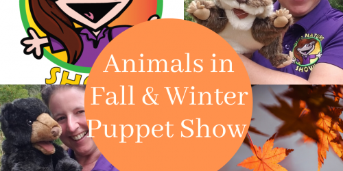puppet shows puppet shows