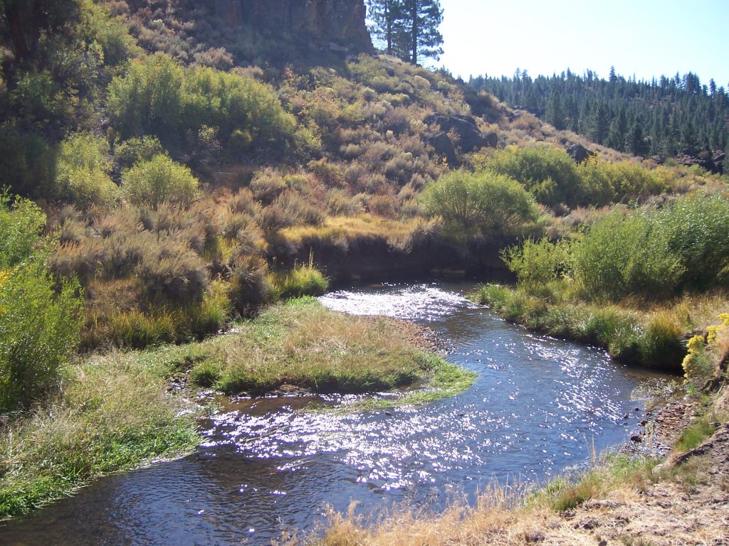 kids nature programs