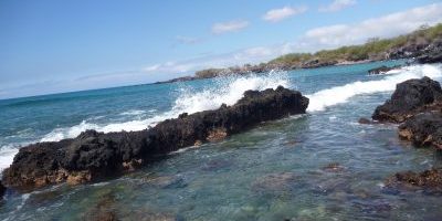 kids nature programs kids nature programs