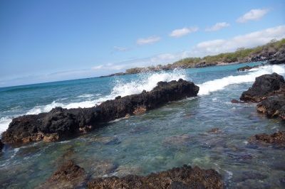 kids nature programs