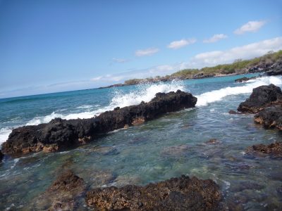 kids nature programs