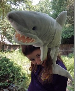 puppet shows, animal shows