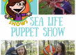 kids nature shows, sea life show