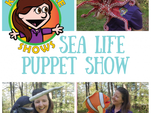 kids nature shows, sea life show