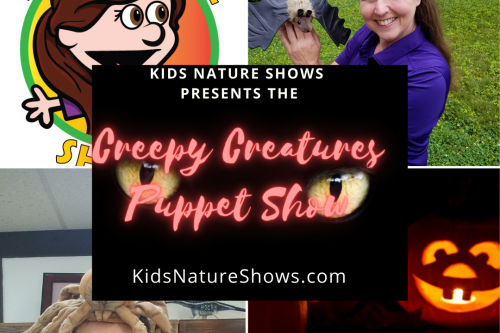 kids entertainer, kids entertainment