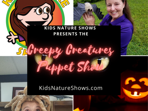 kids entertainer, kids entertainment