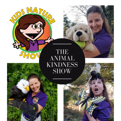 Animal Kindness Puppet Show